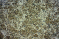 Slika_1